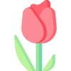 华体会APP logo