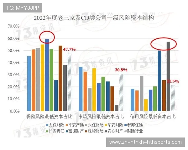 法甲俱乐部投资规模比较与资本结构分析